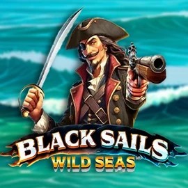 Slots logo of Black Sails Wild Seas from Infinity Dragon Studios at Casino Euro